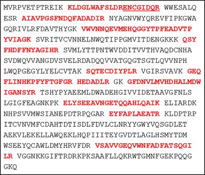 Transfection With Plasmid Causing Stable Expression of a Foreign Gene Affects General Proteome Pattern in Giardia lamblia Trophozoites